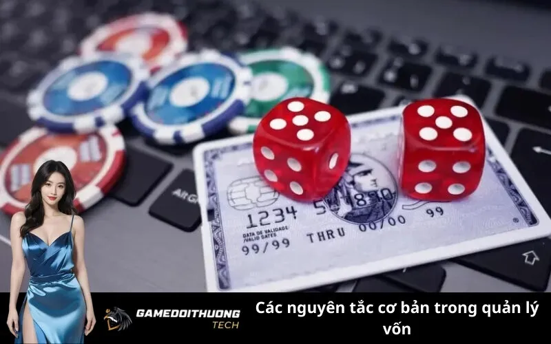 Các nguyên tắc cơ bản trong quản lý vốn